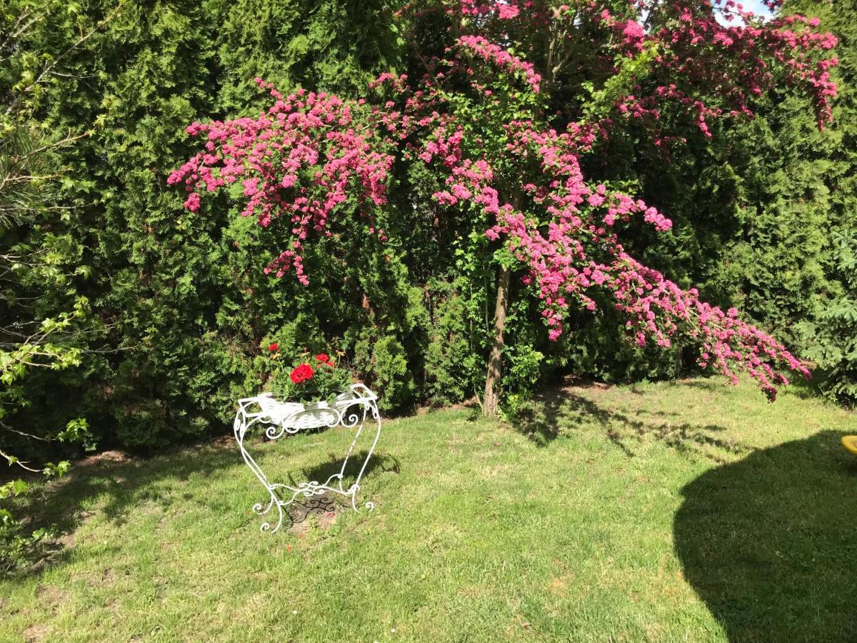 Pensjonat Rozanna Wawolnica Exteriör bild